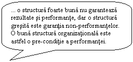 Rounded Rectangular Callout:  o structura foarte buna nu garanteaza rezultate si performante, dar o structura gresita este garantia non-performantelor. O buna structura organizationala este astfel o pre-conditie a performantei.