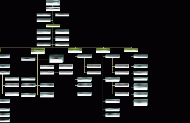 Organization Chart