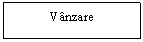 Text Box: Vanzare 