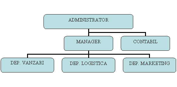 Organization Chart