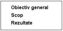 Text Box: Obiectiv general 
Scop 
Rezultate
