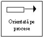 Text Box:   

Orientata pe procese
