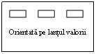 Text Box:            

Orientata pe lantul valorii
