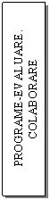 Text Box: PROGRAME-EVALUARE. COLABORARE INTERNATIONALA.