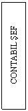 Text Box: CONTABIL SEF