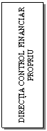 Text Box: DIRECTIA CONTROL FINANCIAR PROPRIU
