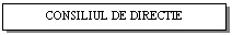 Text Box: CONSILIUL DE DIRECTIE