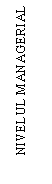 Text Box: NIVELUL MANAGERIAL