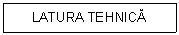 Text Box: LATURA TEHNICA