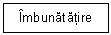 Text Box: Imbunatatire