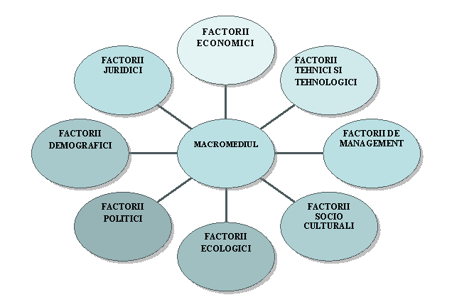 Radial Diagram