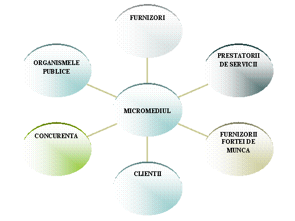 Radial Diagram