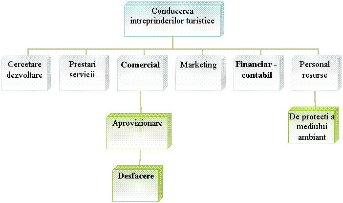 Organization Chart