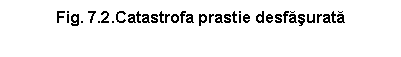 Text Box: Fig. 7.2.Catastrofa prastie desfasurata