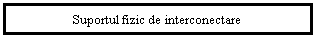 Text Box: Suportul fizic de interconectare