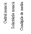 Text Box: Cadrul muncii 

Solicitarile muncii

Conditiile de mediu   
