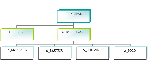 Organization Chart
