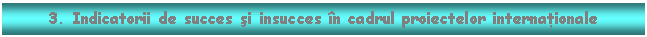 Text Box: 3. Indicatorii de succes si insucces in cadrul proiectelor internationale