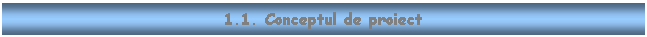 Text Box: 1.1. Conceptul de proiect

