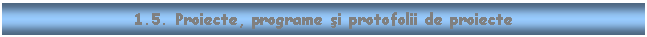 Text Box: 1.5. Proiecte, programe si protofolii de proiecte

