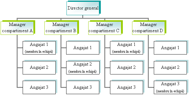 Organization Chart