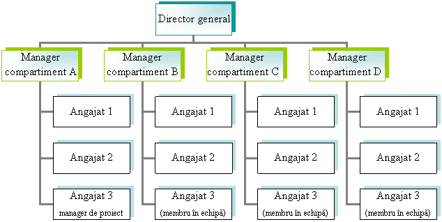 Organization Chart