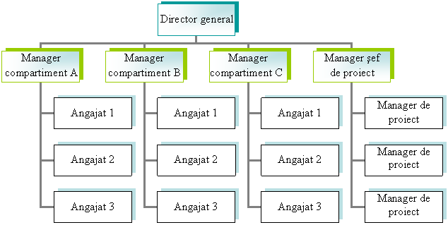 Organization Chart