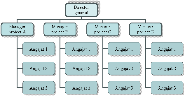 Organization Chart