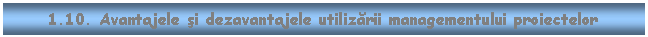 Text Box: 1.10. Avantajele si dezavantajele utilizarii managementului proiectelor


