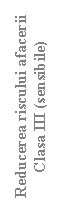 Text Box: Reducerea riscului afacerii
Clasa III (sensibile)
