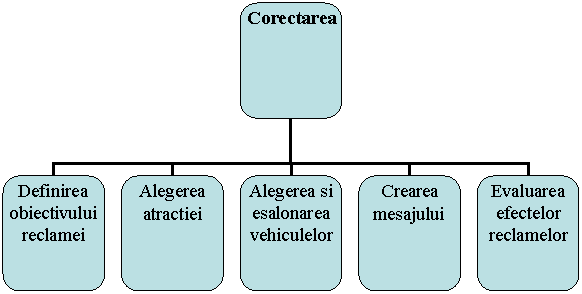 Organization Chart