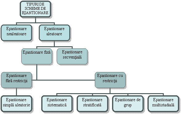 Organization Chart