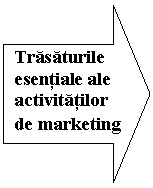 Right Arrow: Trasaturile esentiale ale activitatilor de marketing