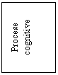 Text Box: Procese cognitive