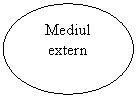 Oval: Mediul
extern
