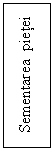 Text Box: Sementarea  pietei