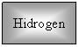 Text Box: Hidrogen