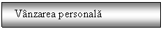 Text Box:   Vanzarea personala