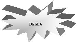 Explosion 1: BELLA
