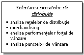 Text Box: Selectarea circuitelor de distributie
�	analiza retelelor de distributie
�	merchandising
�	analiza performantelor fortei de vanzare
�	analiza punctelor de vanzare
