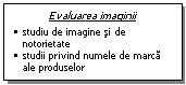 Text Box: Evaluarea imaginii
�	studiu de imagine si de notorietate 
�	studii privind numele de marca ale produselor
