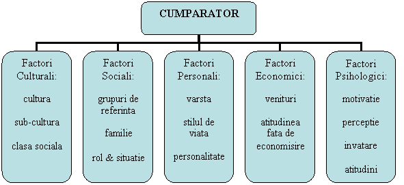 Organization Chart