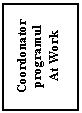 Text Box: Coordonator programul
At Work
