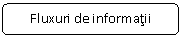 Rounded Rectangle: Fluxuri de informatii

