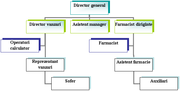 Organization Chart