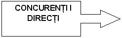 Right Arrow Callout: CONCURENTI I DIRECTI