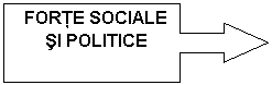 Right Arrow Callout: FORTE SOCIALE SI POLITICE