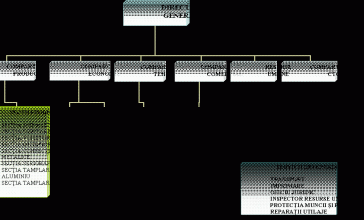 Organization Chart