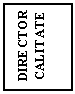 Text Box: DIRECTOR CALITATE