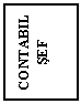 Text Box: CONTABIL SEF